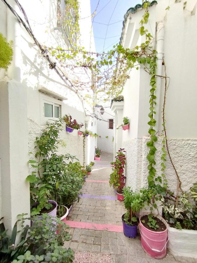 Maison Medina, Terrasse Panoramique, Vue Mer Tanger Ngoại thất bức ảnh